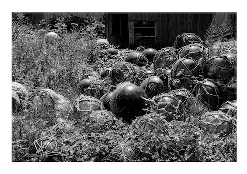 エドソウタの作品画像